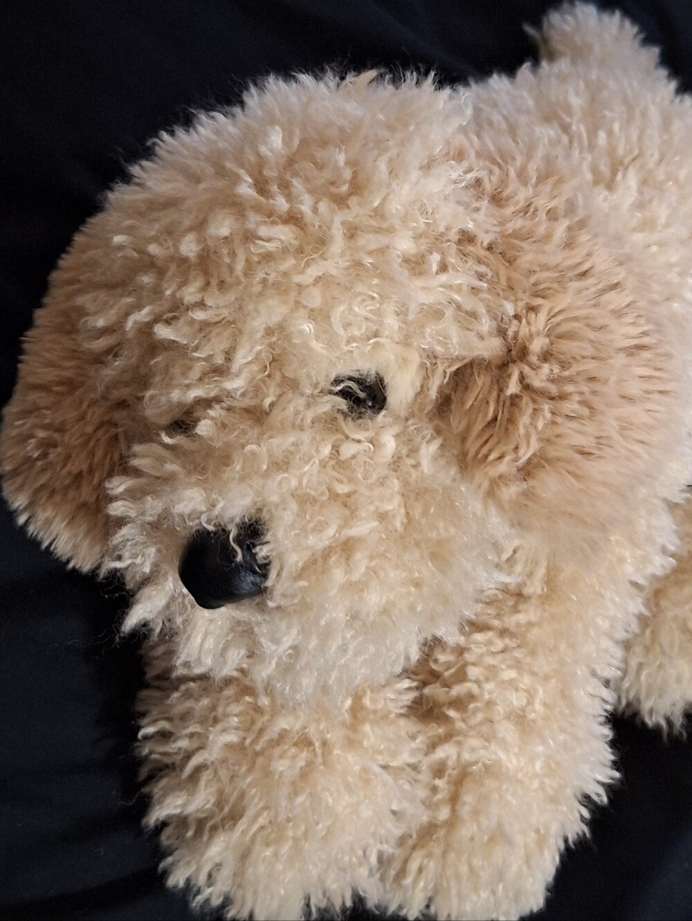 FAO Schwarz Adopt a Pet Curly Plush Squishy Cockapoo Puppy Dog Toby 15"